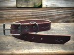 Anne Oakley Dog Collar